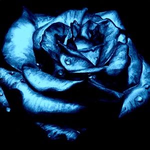 Meet your Posher, Margina